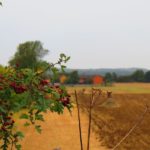 Die besten Fotos machen: So gehts